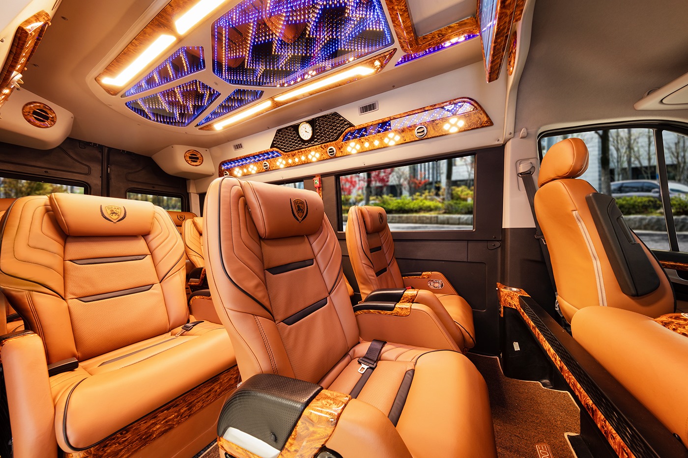 Amazing Limousine